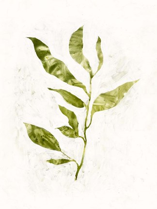 Framed Sapling I Print