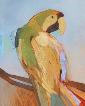 Framed Parrot Wonder I Print