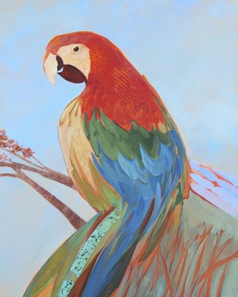 Framed Parrot Wonder II Print