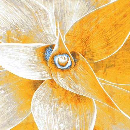 Framed Succulent Plant Print