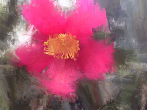 Framed Aesthetic Magic Print