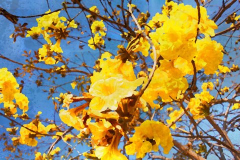 Framed Lead Me To The Light I Print