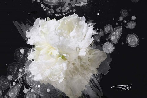 Framed Blow Away on The Wind 4 Print