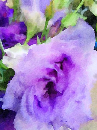 Framed Purple Flower 1 Print