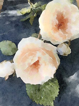 Framed Bouquet 2 Print