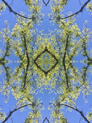 Framed Natural Pattern 74 Print