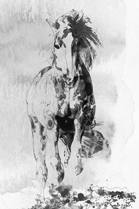 Framed Wild Running Horse 3 Print