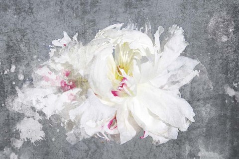 Framed Breathless 3 Print