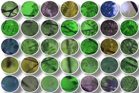 Framed Nature Geometric  26 Print