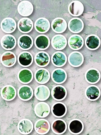 Framed Nature Geometric  35 Print