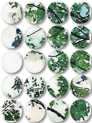 Framed Nature Geometric  37 Print