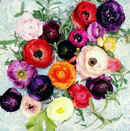 Framed Shabby Chic Flowers 46 Print