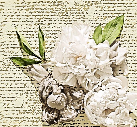 Framed Cozy Shabby Chic 44 Print