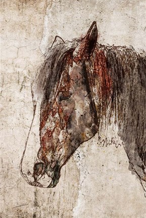 Framed Abstract Horse Print