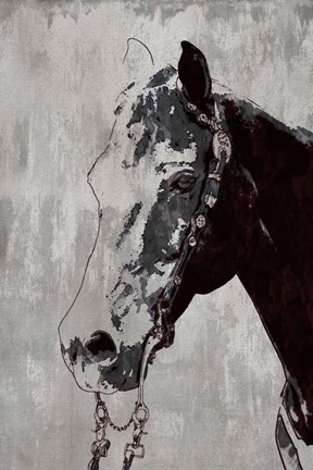 Framed Morgan Horse Print