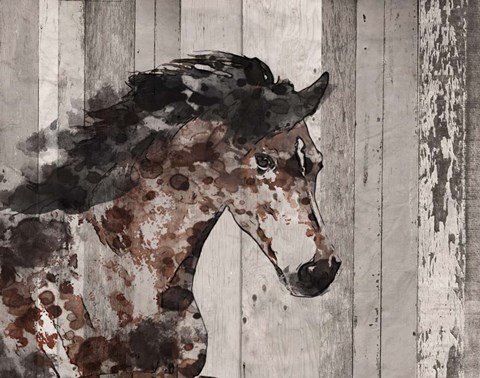 Framed Running Wild Horse 12 Print