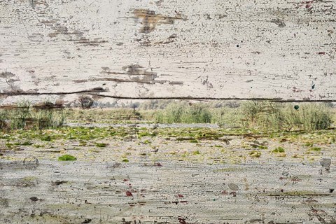 Framed Rustic Landscape 21 Print