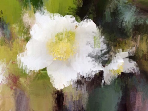 Framed Awesome Print