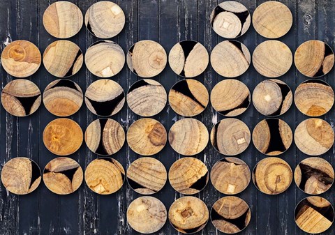 Framed Industrial Mixed Media Circles 808-311 Print