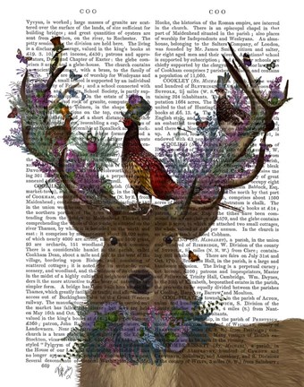 Framed Deer Birdkeeper, Scottish Print