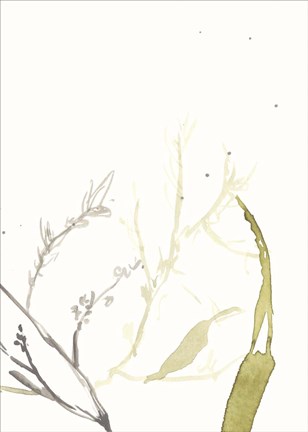 Framed Under Sea Forest II Print