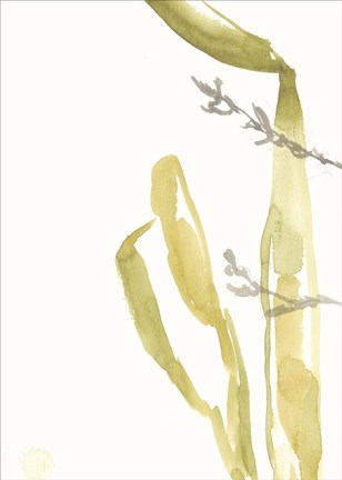 Framed Under Sea Forest IV Print