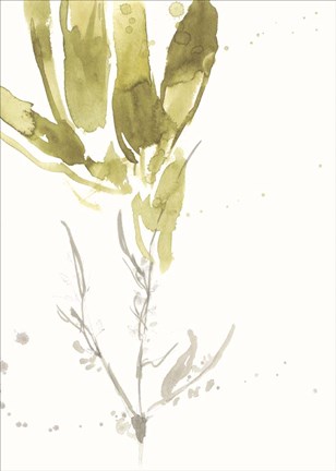 Framed Under Sea Forest VI Print