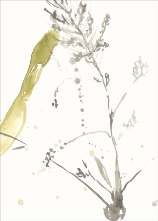 Framed Under Sea Forest VIII Print