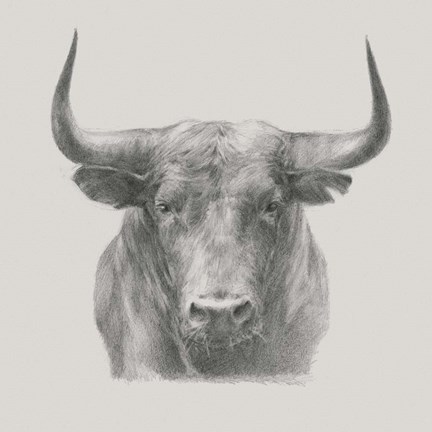 Framed Black Bull Print