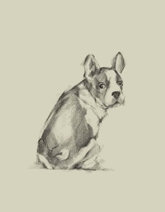 Framed Puppy Dog Eyes IV Print