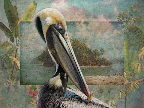 Framed Pelican Paradise II Print