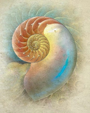 Framed Aquatica II Print