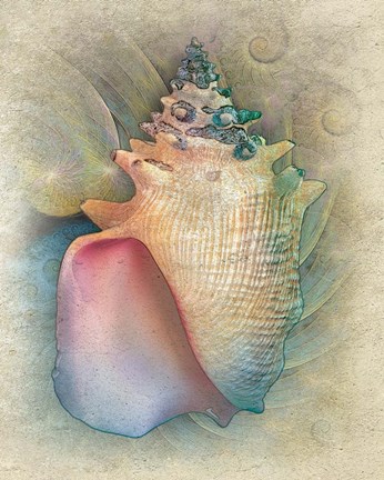 Framed Aquatica IV Print