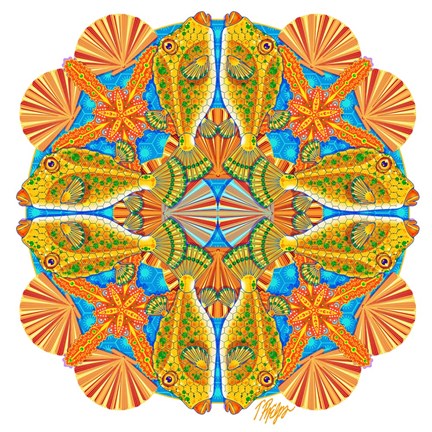 Framed Boxfish and Scallop Mandala Print
