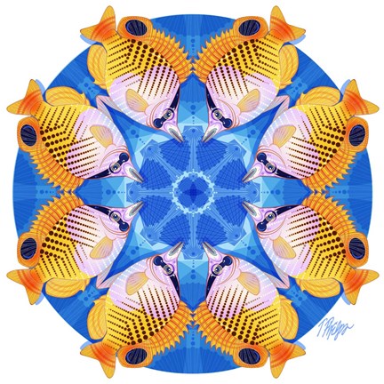 Framed Butterfly Fish Scallop Mandala Print