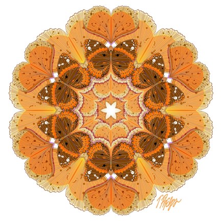 Framed Gingko Admiral Mandala Print