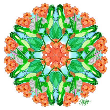 Framed Hummingbird Vine Mandala Print