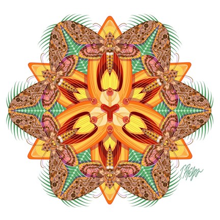 Framed Tiger Lily Sphinx Mandala Print