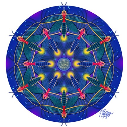 Framed Firefly Moon Mandala Print