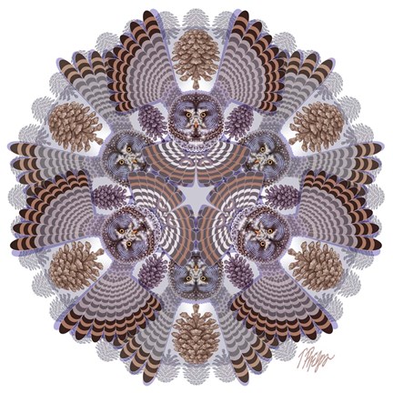Framed Great Gray Owl Mandala Print
