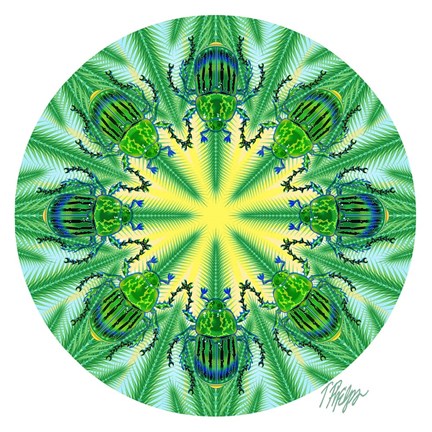 Framed Green Beetle Pine Mandala Print