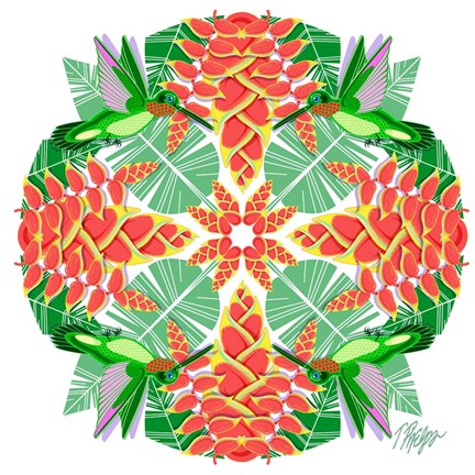 Framed Hanging Crab Plant Hummingbird Mandala Print