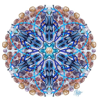 Framed Blue Longhorn Beetle Rock Mandala Print