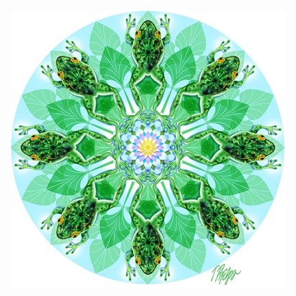 Framed Leaping Pond Frog Mandala Print