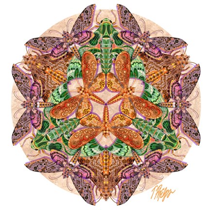 Framed Metatron Circle Sphinx Moth Mandala Print