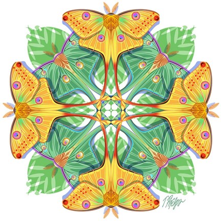 Framed Moon and Luna Moth Mandala Print