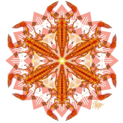 Framed Navajo Red Scorpion Mandala Print