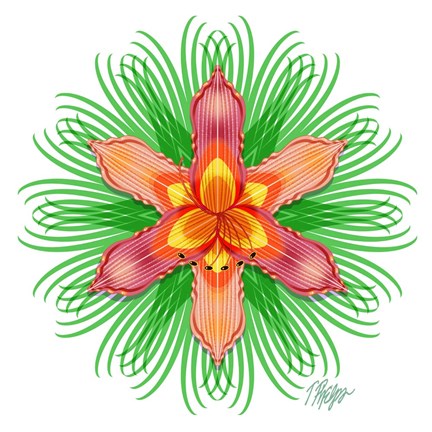 Framed Orange Day Lily Bloom Mandala Print