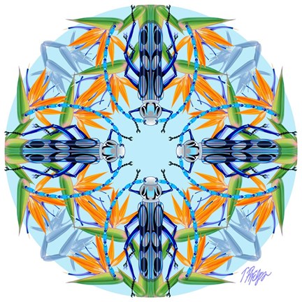 Framed Paradise Longhorn Beetle Mandala Print