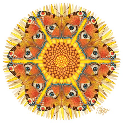 Framed Peacock Butterfly Mandala Print